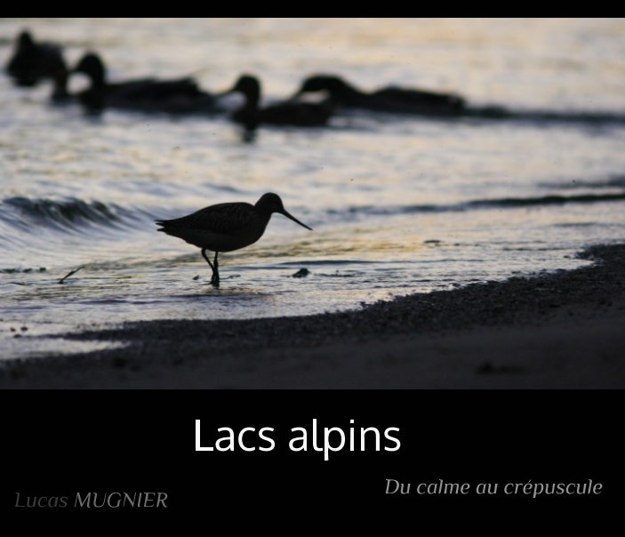 Visualizza Lacs alpins di Lucas MUGNIER