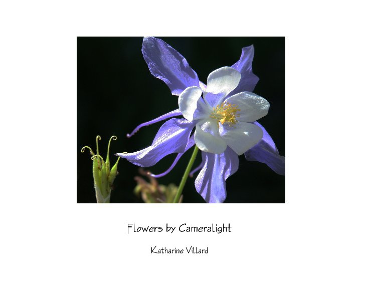 Ver Flowers by Cameralight por Katharine Villard