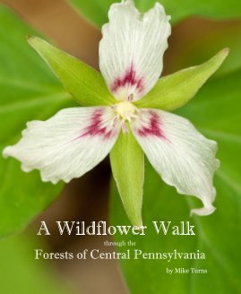A Wildflower Walk through the Forests of Central Pennsylvania book cover