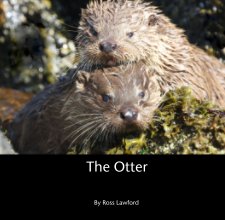 The Otter book cover