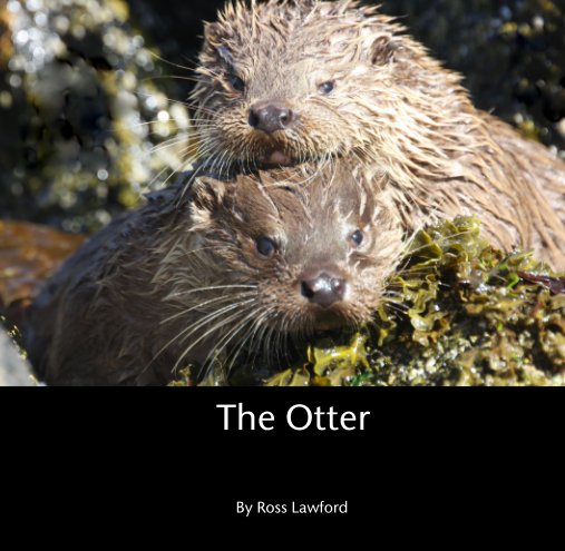 Ver The Otter por Ross Lawford