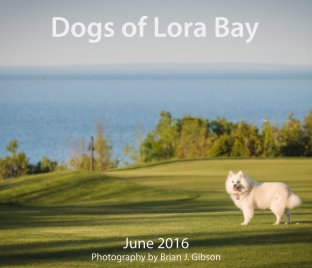Dogs of Lora Bay book cover