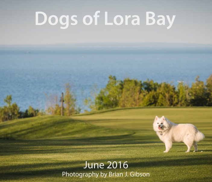 View Dogs of Lora Bay by Brian J. Gibson