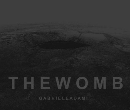 THE WOMB book cover