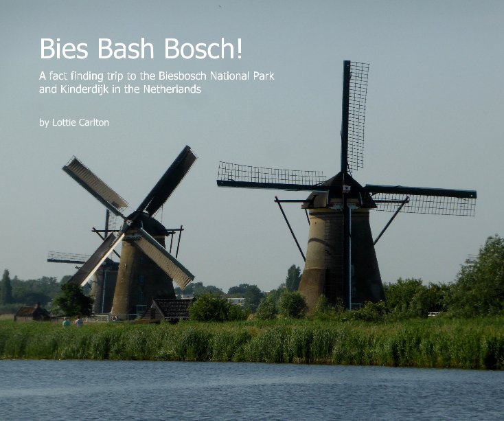 View Bies Bash Bosch! by Lottie Carlton