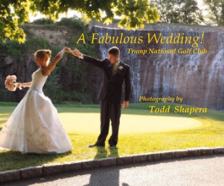 A Fabulous Wedding book cover
