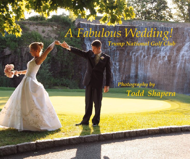 Ver A Fabulous Wedding por Todd Shapera