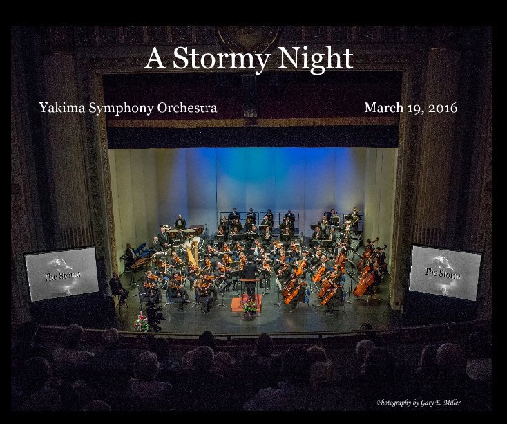 Ver A Stormy Night por Gary E. Miller