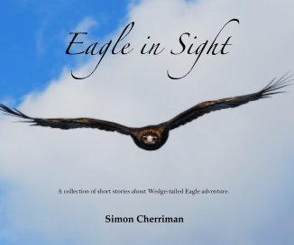 Eagle in Sight book cover