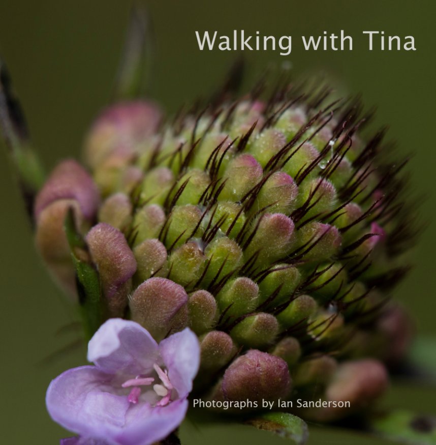 View Walking with Tina by Ian Sanderson