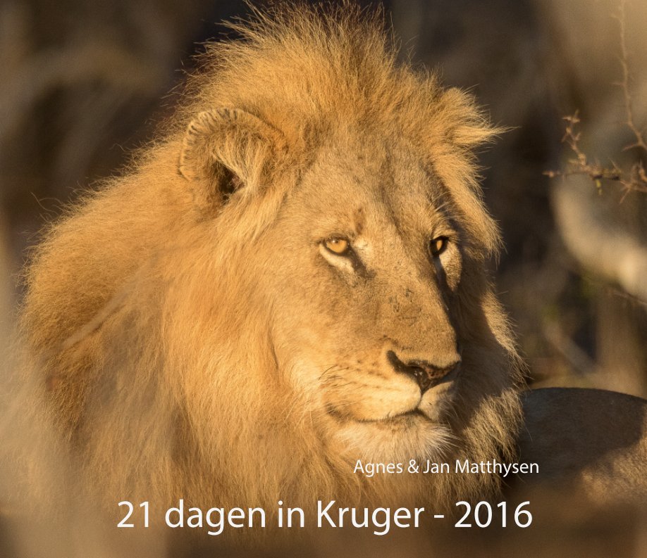 Bekijk 21 days in Kruger 2016 op Jan Matthysen