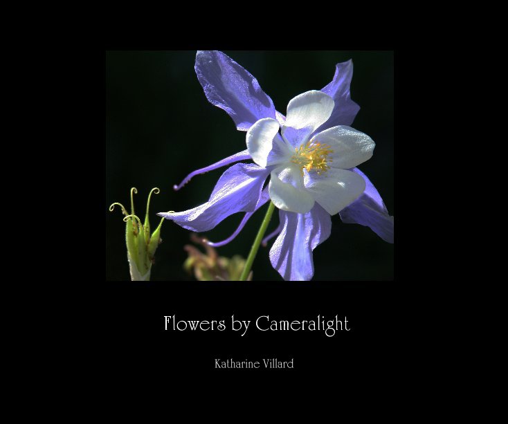 View Flowers by Cameralight by Katharine Villard
