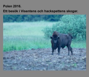 Polen 2016. Ett besök i Visentens och hackspettens skogar. book cover