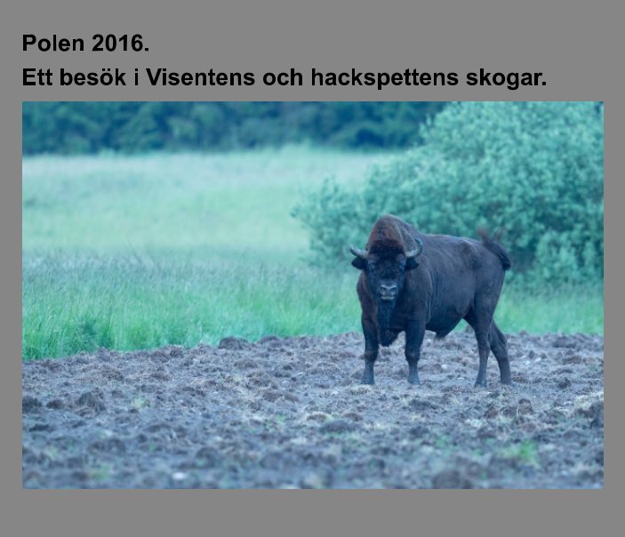 Ver Polen 2016. Ett besök i Visentens och hackspettens skogar. por Barbro Nelly