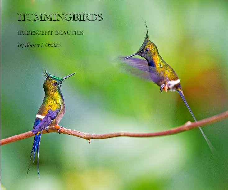 View HUMMINGBIRDS by Robert L Ozibko