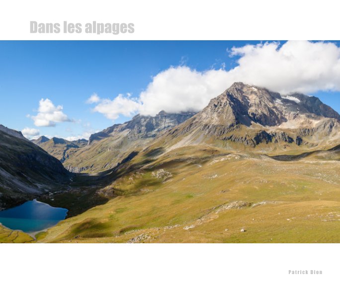 View Dans les alpages by Patrick Dion