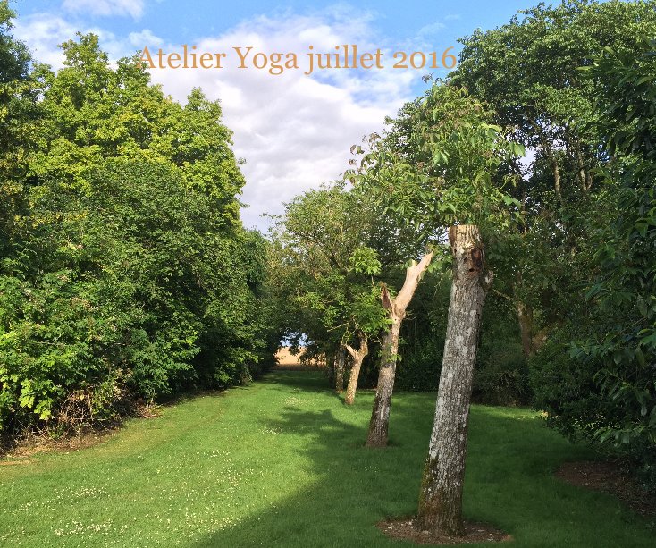 Ver Atelier Yoga juillet 2016 por Philippe Mérien