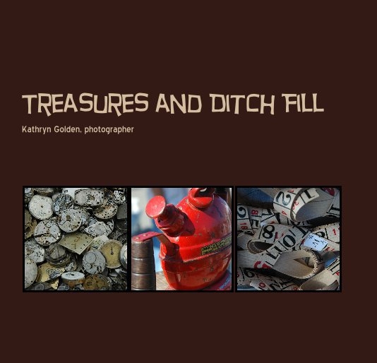 Ver Treasures and Ditch Fill por Kathryn Golden, photographer