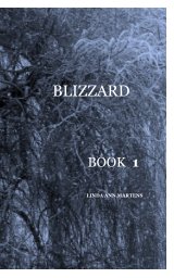 Blizzard BooK 1 LINDA ANN MARTENS book cover