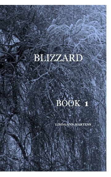 Bekijk Blizzard BooK 1 LINDA ANN MARTENS op Linda Ann Martens