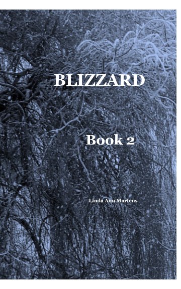 Visualizza BLIZZARD Book 2 Linda Ann Martens di Linda Ann Martens