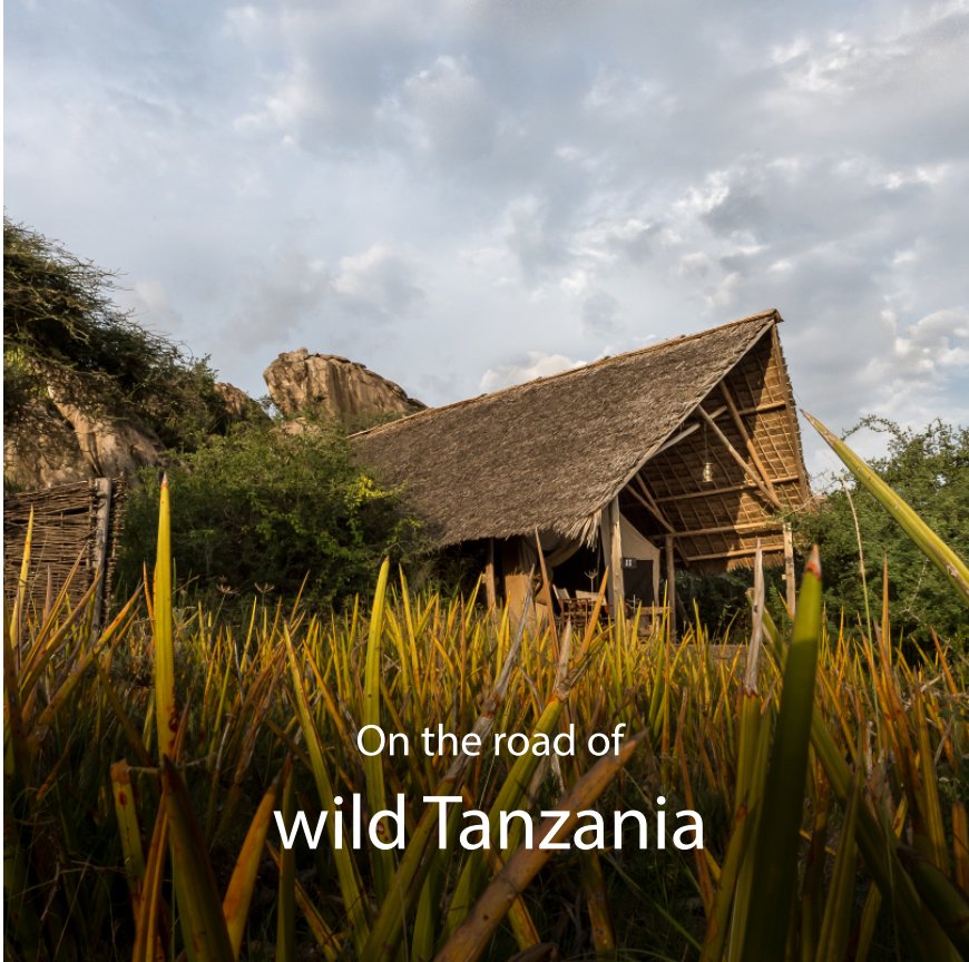 Ver On the road of wild Tanzania por MathieuO