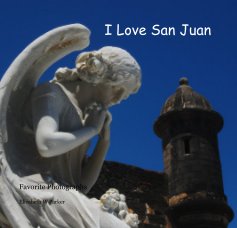 I Love San Juan book cover