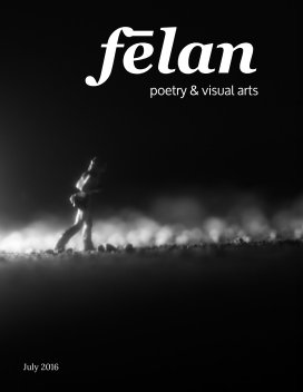 felan - issue 6 Cynicism book cover