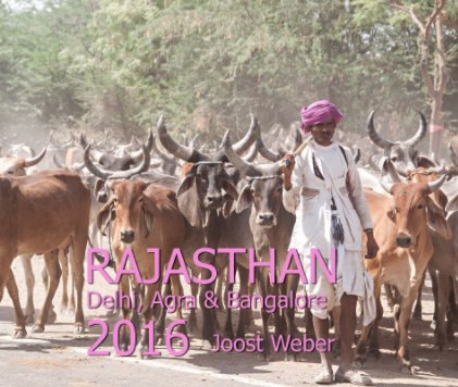 Rajasthan 2016.  Delhi, Agra & Bangalore book cover