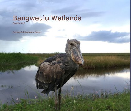 Bangweulu Wetlands book cover