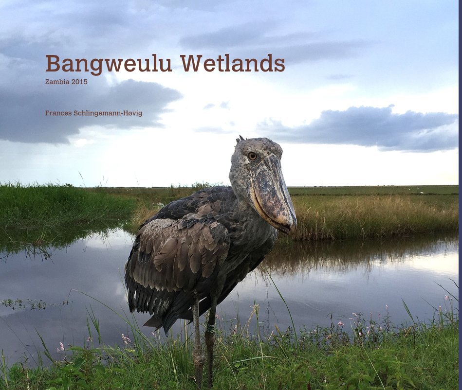 View Bangweulu Wetlands by Frances Schlingemann-Høvig