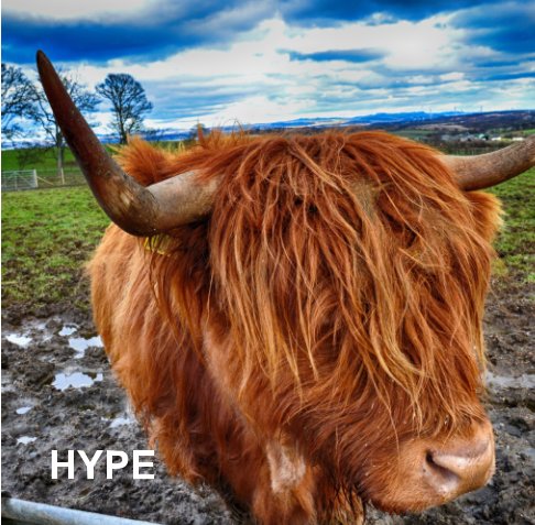 View HYPE Helping Young People Engage by The HYPE Photography Group