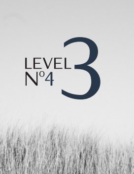 Level3 No.4 book cover