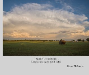 Saline Community Landscapes and Still Lifes book cover