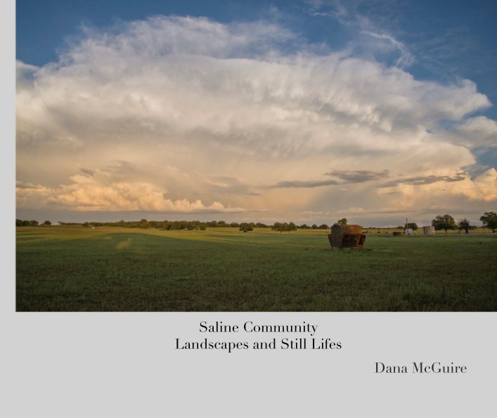View Saline Community Landscapes and Still Lifes by Dana McGuire