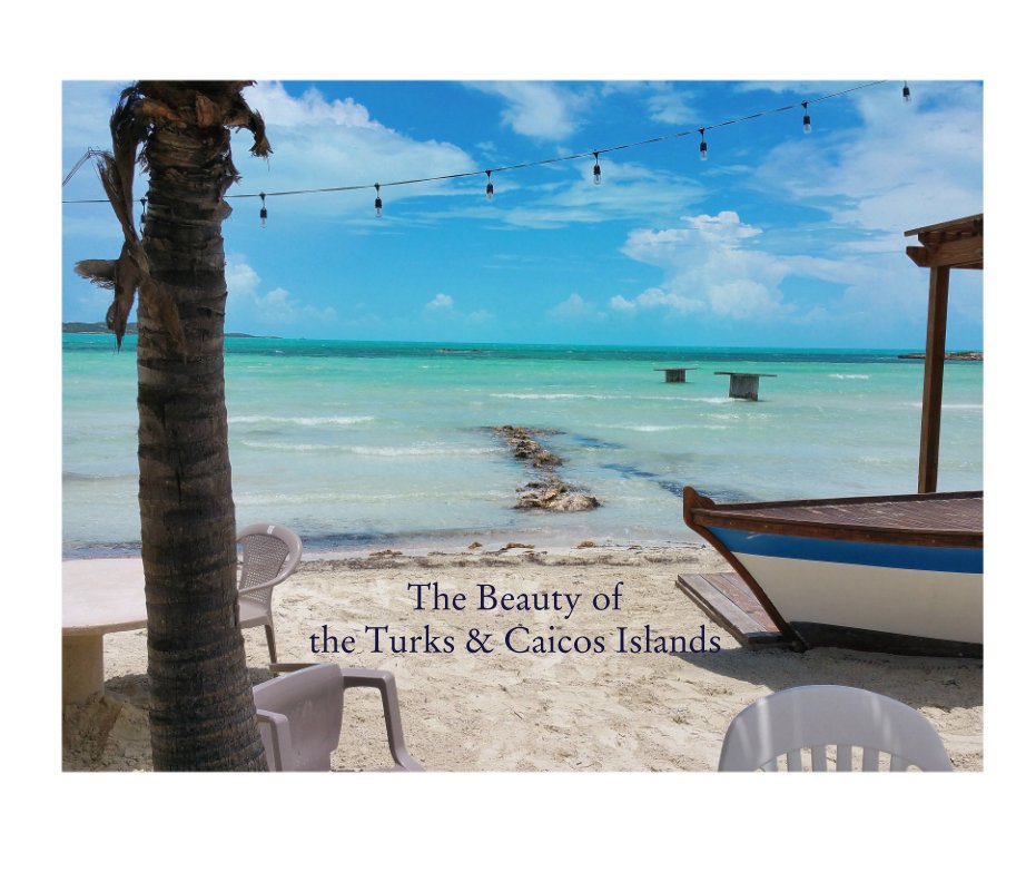 View The Beauty of  the Turks & Caicos Islands by Brande Wilkerson