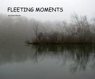 FLEETING MOMENTS book cover