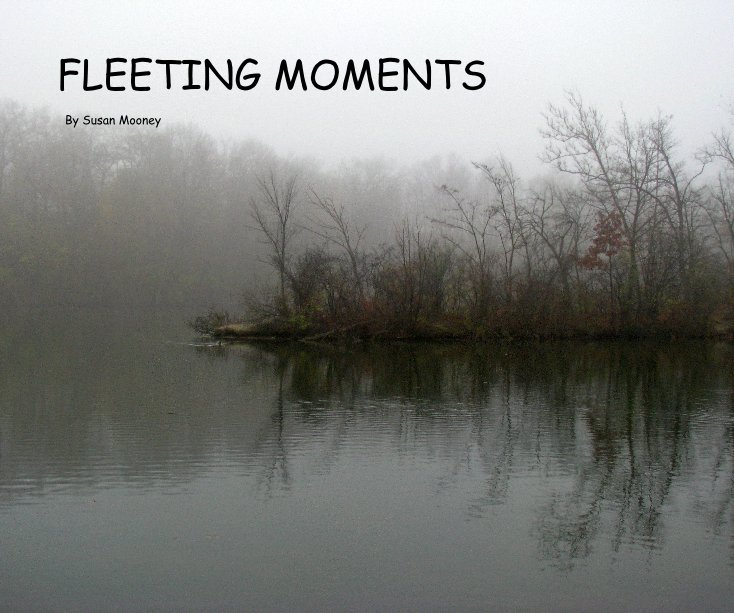 View FLEETING MOMENTS by Susan Mooney