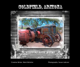 Goldfield, Arizona book cover