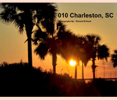 010 Charleston, SC book cover