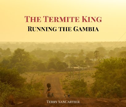 The Termite King book cover