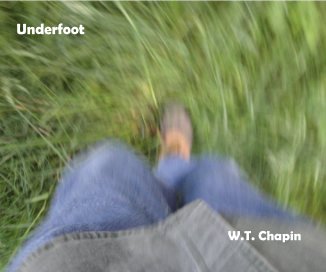 Underfoot book cover