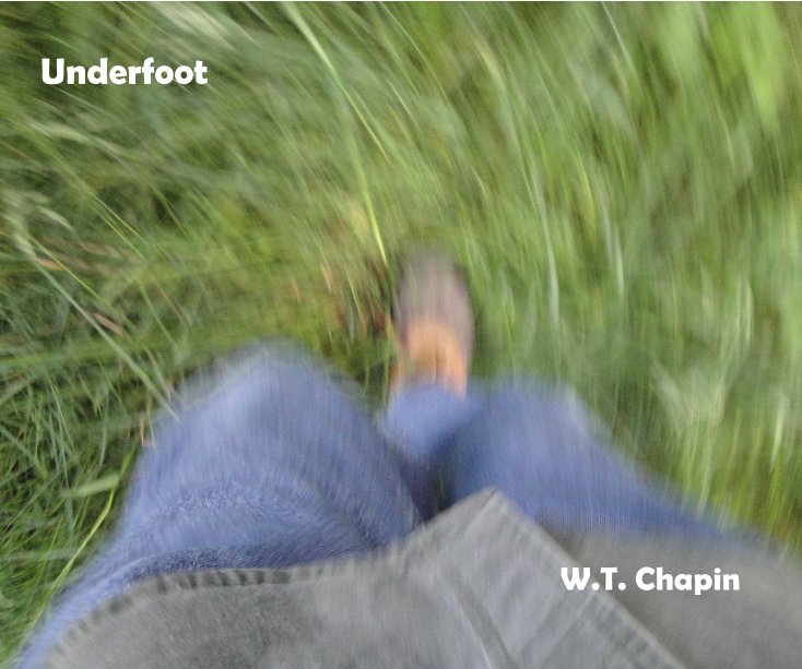 View Underfoot by WT Chapin