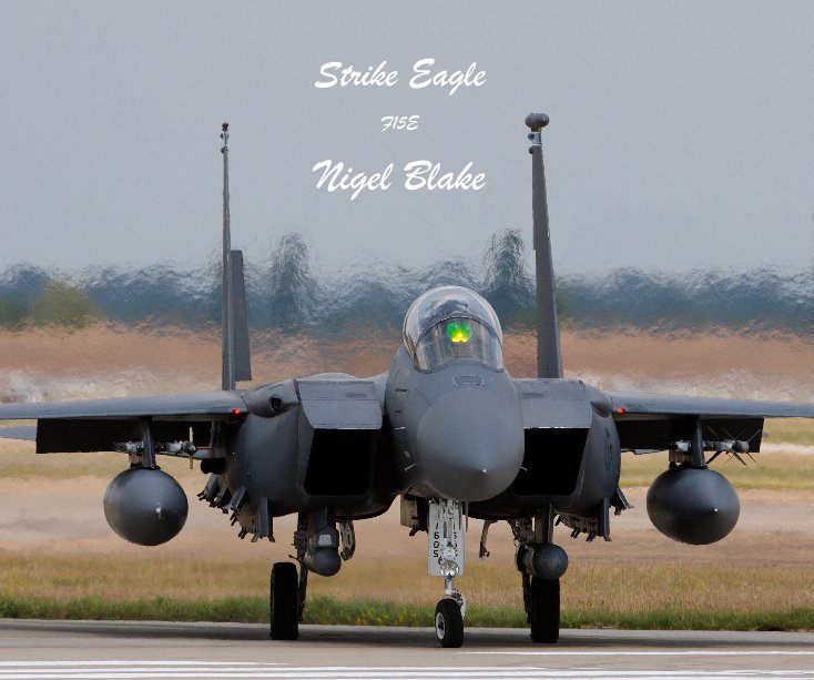 View F15E Strike Eagle by Nigel Blake