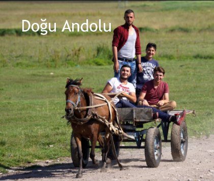 Doğu Andolu book cover