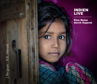 Indien Live - Eine Reise durch Gujarat book cover