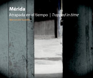 Merida Atrapada en el tiempo | Trapped in time book cover