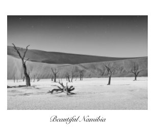 Beautiful Namibia book cover