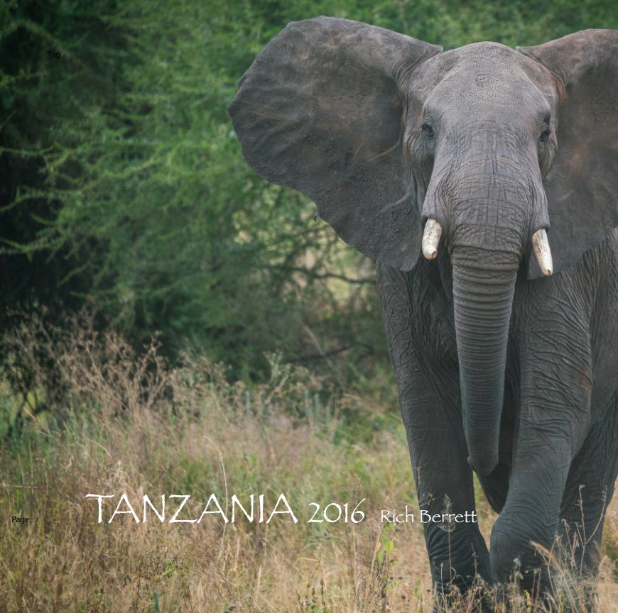 View Tanzania 2016 by Rich Berrett