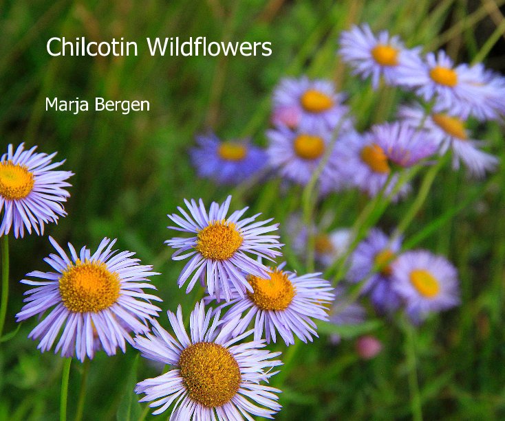 View Chilcotin Wildflowers by Marja Bergen